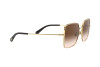 Sonnenbrille Dolce & Gabbana DG 2242 (02/13)