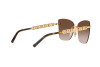 Zonnebril Dolce & Gabbana DG 2289 (02/13)