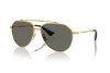 Lunettes de soleil Dolce & Gabbana DG 2302 (02/R5)