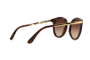 Zonnebril DOLCE & GABBANA DG 4268 (502/13)