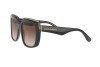 Zonnebril Dolce & Gabbana DG 4414 (502/13)