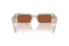 Солнцезащитные очки Dolce & Gabbana DG 4416 (343173)