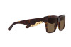 Sonnenbrille Dolce & Gabbana DG 4436 (502/73)