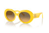 Lunettes de soleil Dolce & Gabbana DG 4448 (333411)