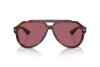 Lunettes de soleil Dolce & Gabbana DG 4452 (335869)