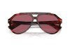 Lunettes de soleil Dolce & Gabbana DG 4452 (335869)