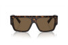 Sonnenbrille Dolce & Gabbana DG 4459 (502/73)