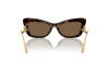 Sunglasses Dolce & Gabbana DG 4467B (502/73)