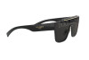 Lunettes de soleil Dolce & Gabbana DG 6125 (501/M)