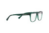 Eyeglasses Dolce & Gabbana DX 3356 (3008)