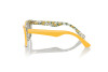 Lunettes de soleil Dolce & Gabbana DX 4427 (34437J)