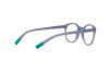 Eyeglasses Dolce & Gabbana DX 5095 (3040)