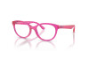 Eyeglasses Dolce & Gabbana DX 5096 (3351)