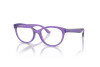 Eyeglasses Dolce & Gabbana DX 5096 (3353)