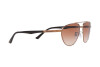 Sunglasses Emporio Armani EA 2125 (300413)