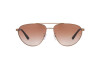 Sunglasses Emporio Armani EA 2125 (300413)