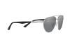 Sunglasses Emporio Armani EA 2125 (30456G)