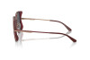 Lunettes de soleil Emporio Armani EA 2142D (333487)