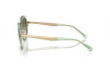 Lunettes de soleil Emporio Armani EA 2146 (33638E)