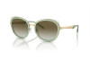 Sonnenbrille Emporio Armani EA 2146 (33638E)