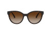 Lunettes de soleil Emporio Armani EA 4140 (508913)