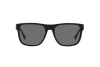 Sunglasses Emporio Armani EA 4163 (587587)