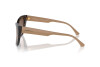 Sunglasses Emporio Armani EA 4176 (587913)