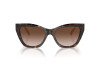 Sunglasses Emporio Armani EA 4176 (587913)