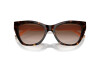 Sunglasses Emporio Armani EA 4176 (587913)