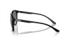 Lunettes de soleil Emporio Armani EA 4210 (500111)