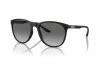 Lunettes de soleil Emporio Armani EA 4210 (500111)