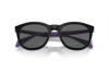 Sunglasses Emporio Armani EA 4211 (52461W)