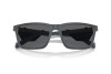 Sunglasses Emporio Armani EA 4219 (610387)