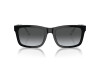 Sunglasses Emporio Armani EA 4224 (5017T3)