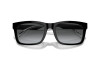 Sunglasses Emporio Armani EA 4224 (5017T3)