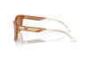 Sonnenbrille Emporio Armani EA 4227U (609773)