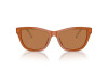 Sunglasses Emporio Armani EA 4227U (609773)