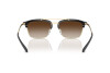 Sonnenbrille Emporio Armani EA 4228 (300213)