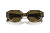 Lunettes de soleil Emporio Armani EA 4230U (614873)