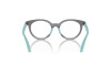 Eyeglasses Emporio Armani EK 3007 (6134)