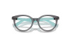 Eyeglasses Emporio Armani EK 3007 (6134)