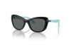 Sunglasses Emporio Armani EK 4004 (501787)