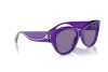 Sunglasses Ferrari FH 2008U (705/AK)