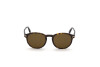 Lunettes de soleil Tom Ford Dante FT0834 (52J)