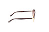 Lunettes de soleil Tom Ford Maxwell FT1019 (30F)