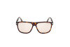 Lunettes de soleil Tom Ford Frances FT1081 (52E)