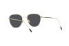 Sunglasses Giorgio Armani AR 6048 (300287)