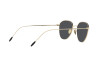 Sunglasses Giorgio Armani AR 6048 (300287)