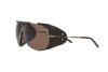 Sunglasses Giorgio Armani AR 6139Q (300673)