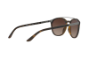 Sunglasses Giorgio Armani AR 8088 (508913)